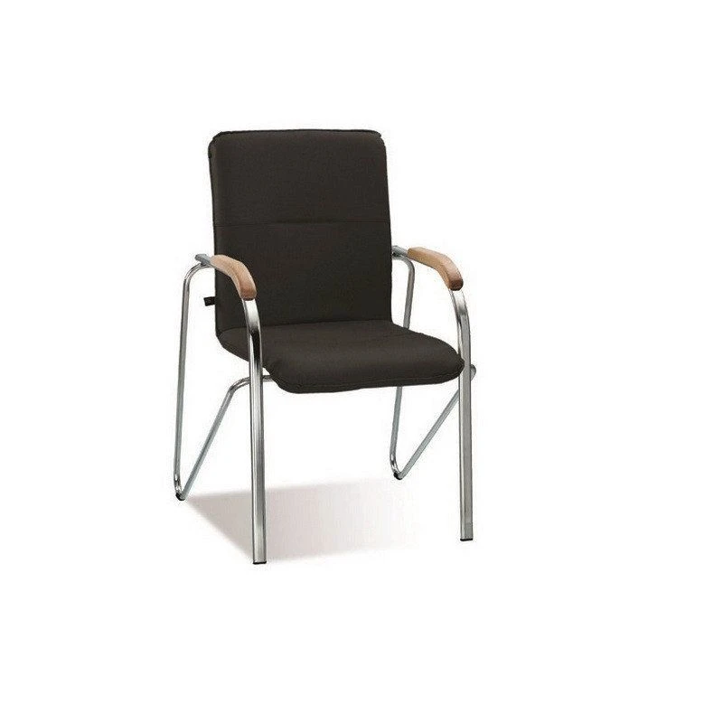 Standard Chair with Metal Frame