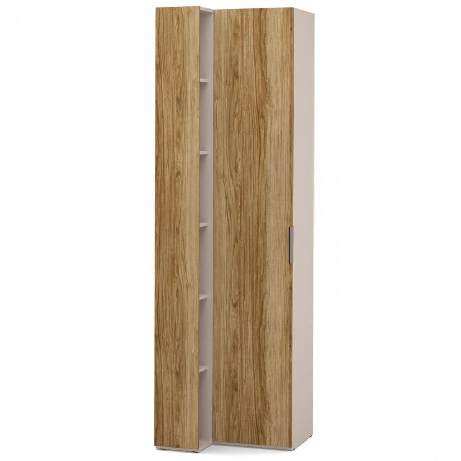 خزانة الانتقالية "SOHO" FBE-02.DS/DT مع رف (بلوط) 608/400