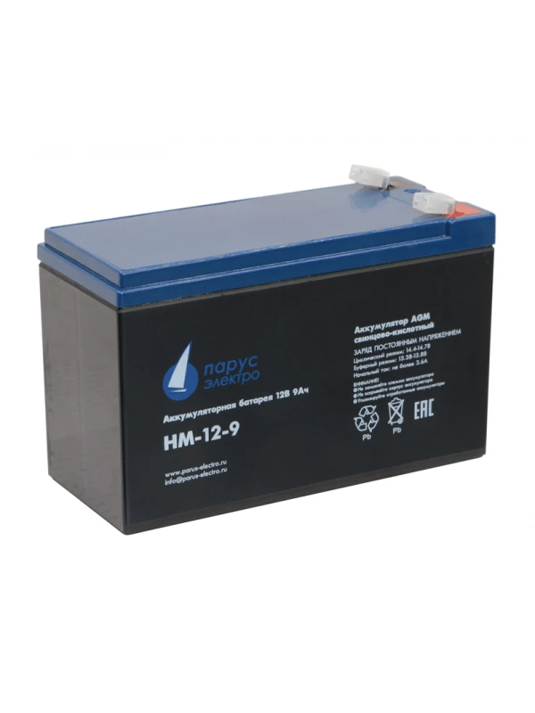 HM-12-9 AGM Lead-Acid Battery
