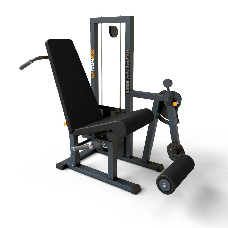 جهاز تدريب عضلات الفخذ المركب BF-111