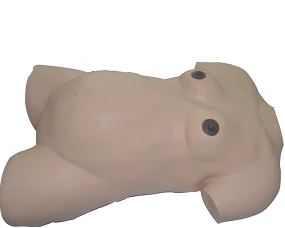 Realistic Pregnant Woman Torso Model - W