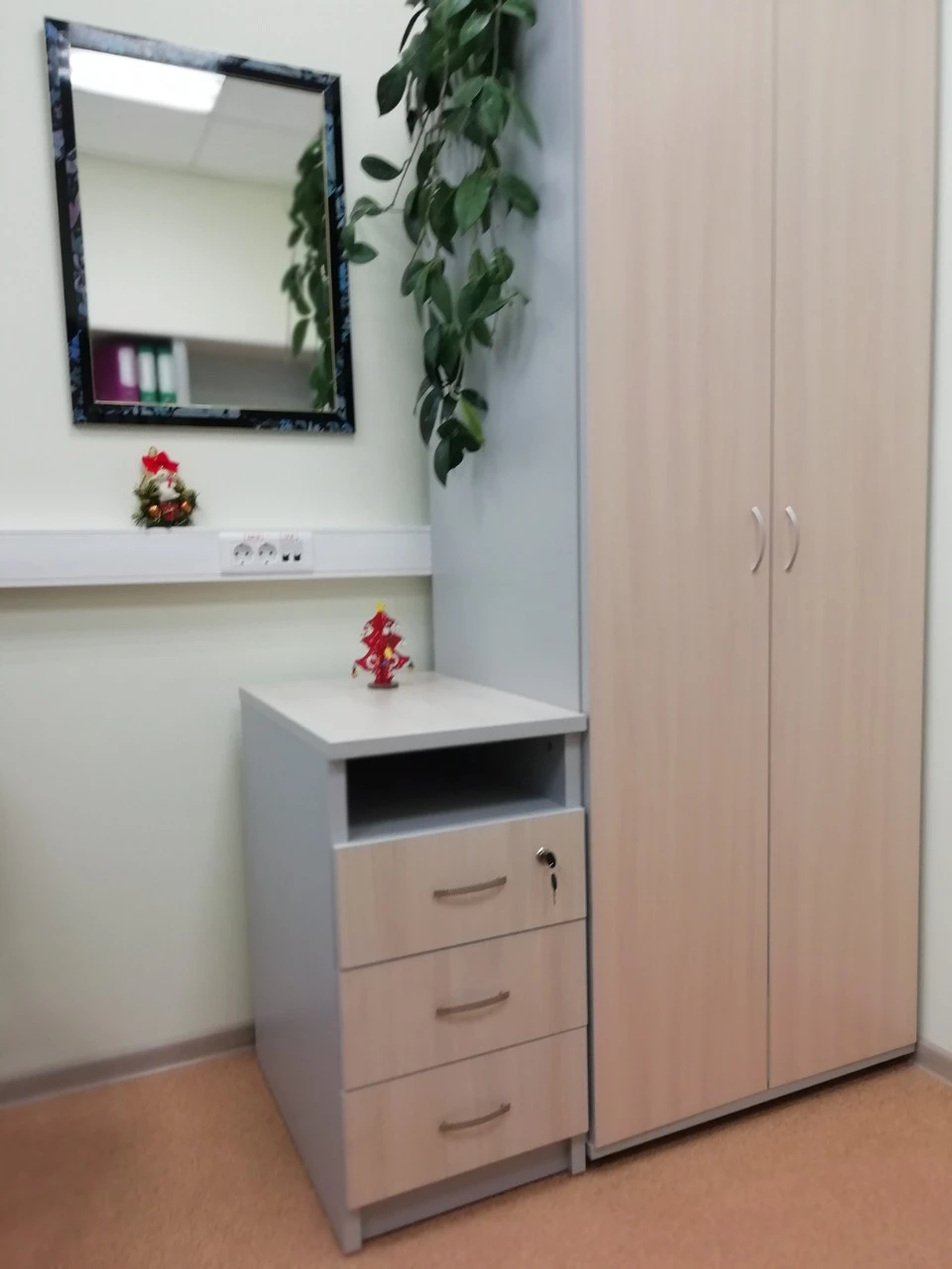 Mobile Cabinet with Locking Mechanism - Custom Design