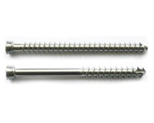 Sponge Screw with Cylindrical Thread for Bone Stabilization