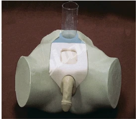 Male Urinary Bladder Puncture Training Mannequin NS6046 / 29E