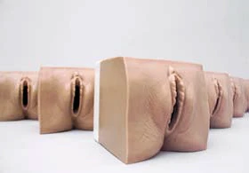 Obstetric Examination Modules, Model 9A