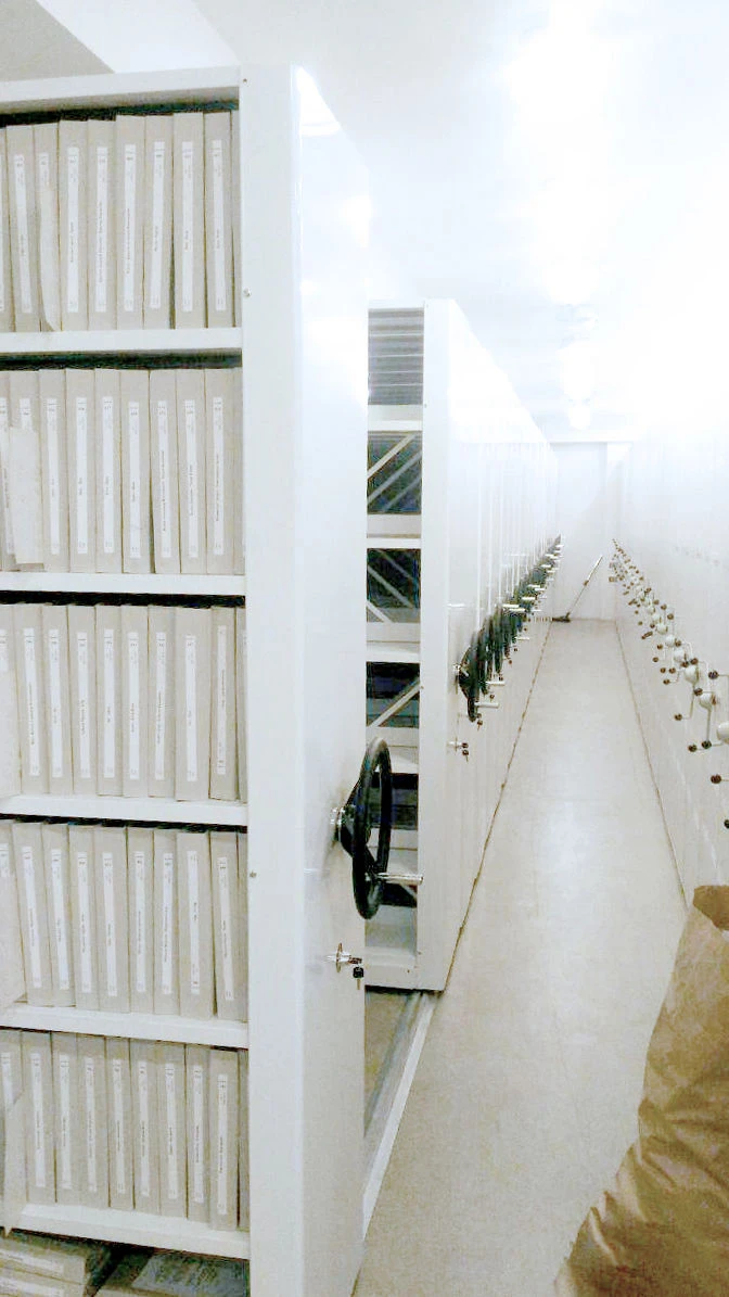 Compact Storage System for Optimizing Space and Increasing Storage Capacity