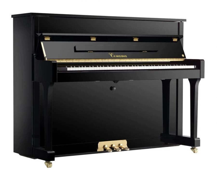 Sonata Piano for Music Schools and Creative Centers