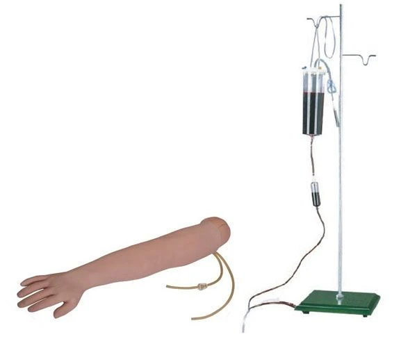 Adult Injection Training Arm Model S1