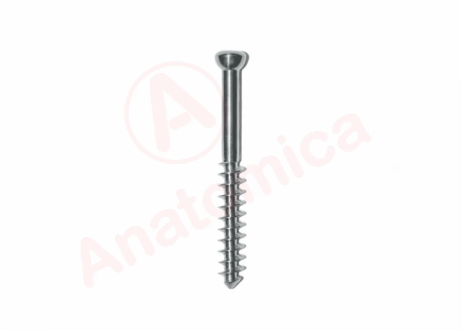 Spongy Screw for Bone Fragments, 32 mm Length