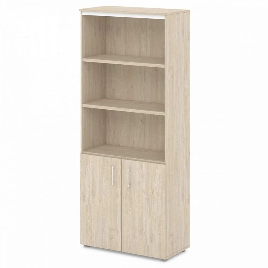 Office Document Cabinet for Organization