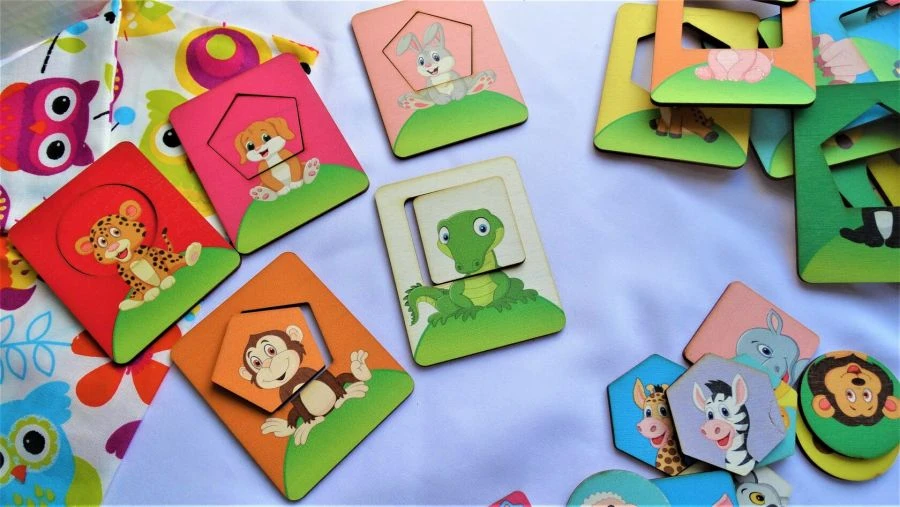 Fun Animals Educational Toy Set (Seguin Method)