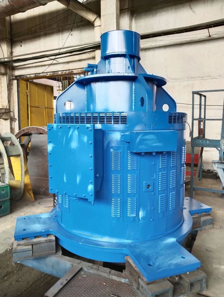 Vertical Asynchronous Motor DВАН 143 -800/6-12 KУ3