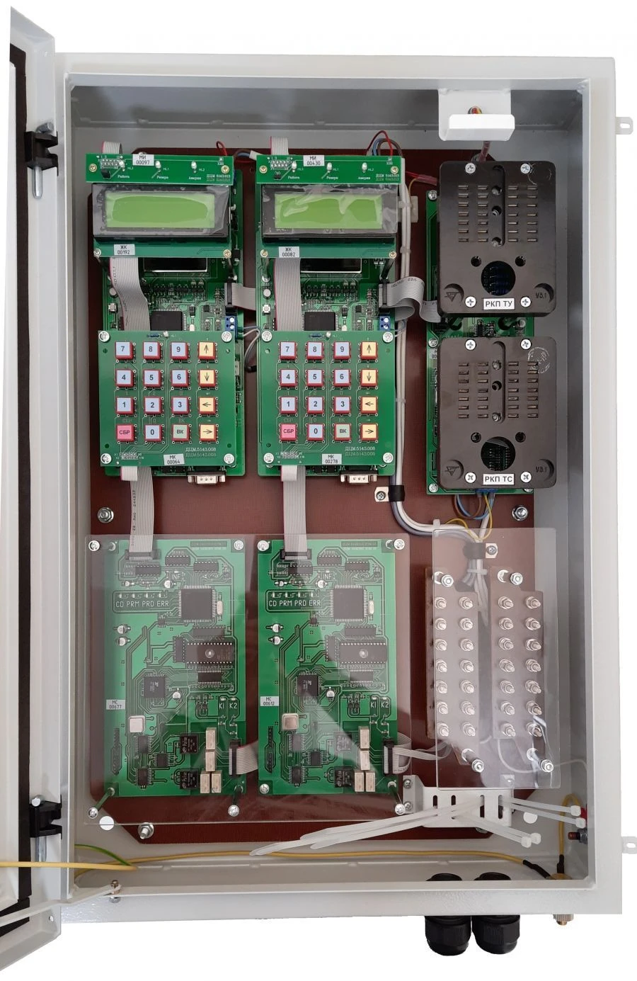 Central Control Unit for Distributed Controlled Point (RKP-C)