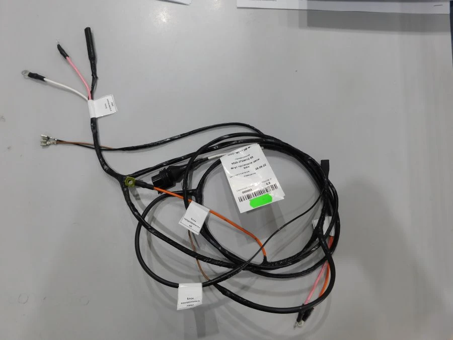 Electrical Wiring Harness for EFU 6520-3724012-55