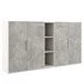 Medium 4-Door Storage Cabinet with Niche B-tone