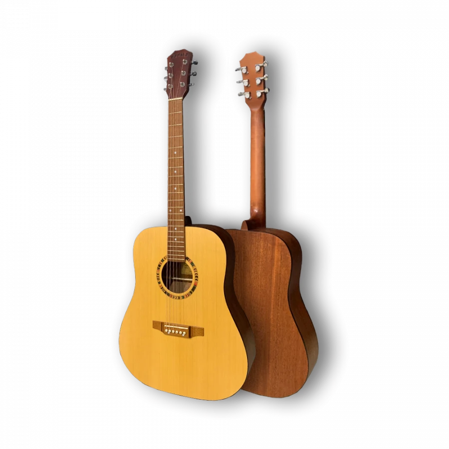 Acoustic Guitar PARMA MR-01 Dreadnought Shape
