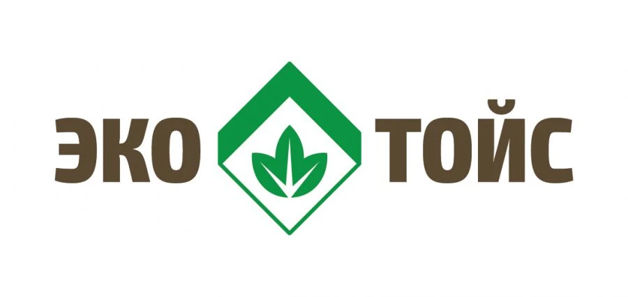 Creative Toy Car "Asti" for Kids