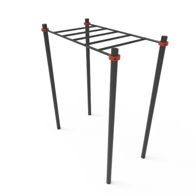 Sport Complex for Kids 14+ - Trainer-008 (Monkey Bars)