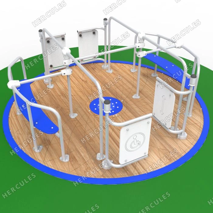 Wheelchair User and Companion Carousel