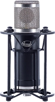Large Diaphragm Tube Condenser Microphone MKL-111