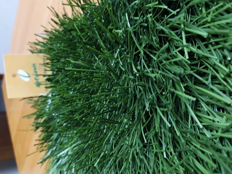 Artificial Grass Covering Optigrass XWR 70 MF