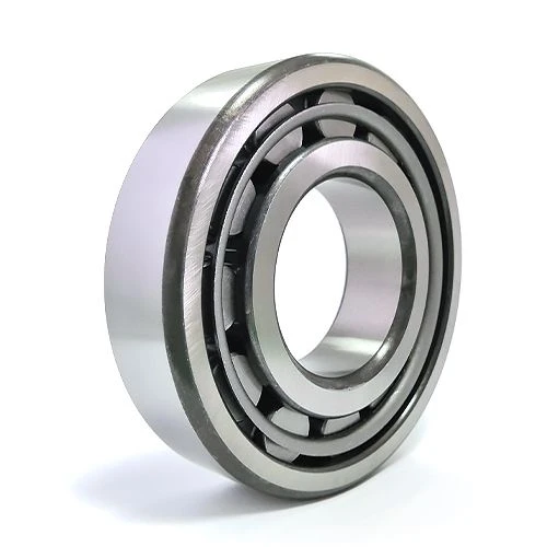 General Purpose Bearing 12320 M