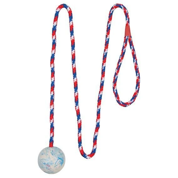 Dog Training Ball on Rope for Fetching