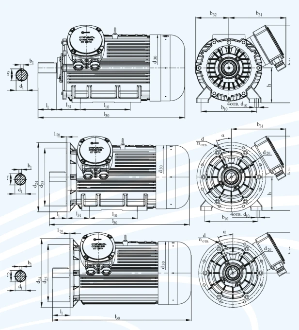 Explosion-Proof Asynchronous Motors Series DV 250 up to 37 kW