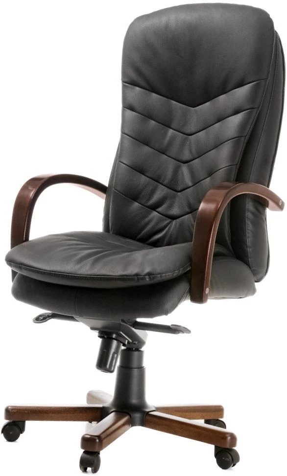 Comfortable and Stylish Armchair ADELE