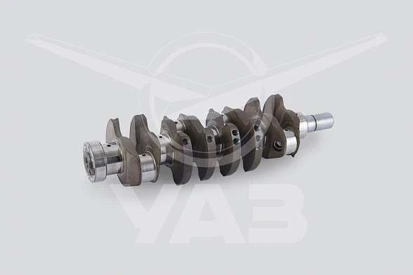 Crankshaft with Bushing for Diesel Engines 5143.1005010