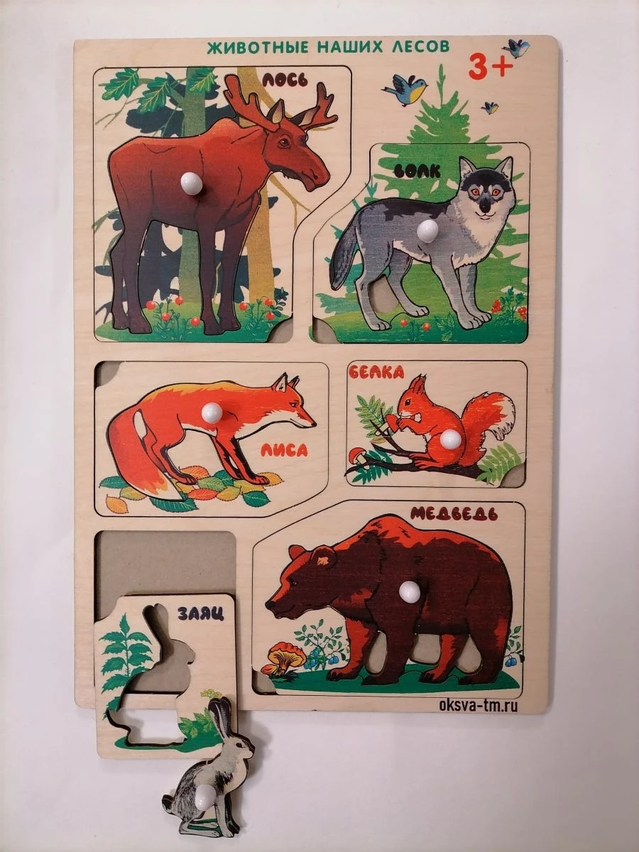 Animal Inset Frames Educational Game for Kids