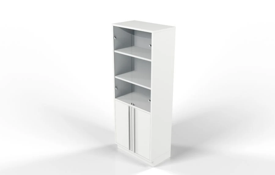Document Cabinet with Glass Facades Rk1-800