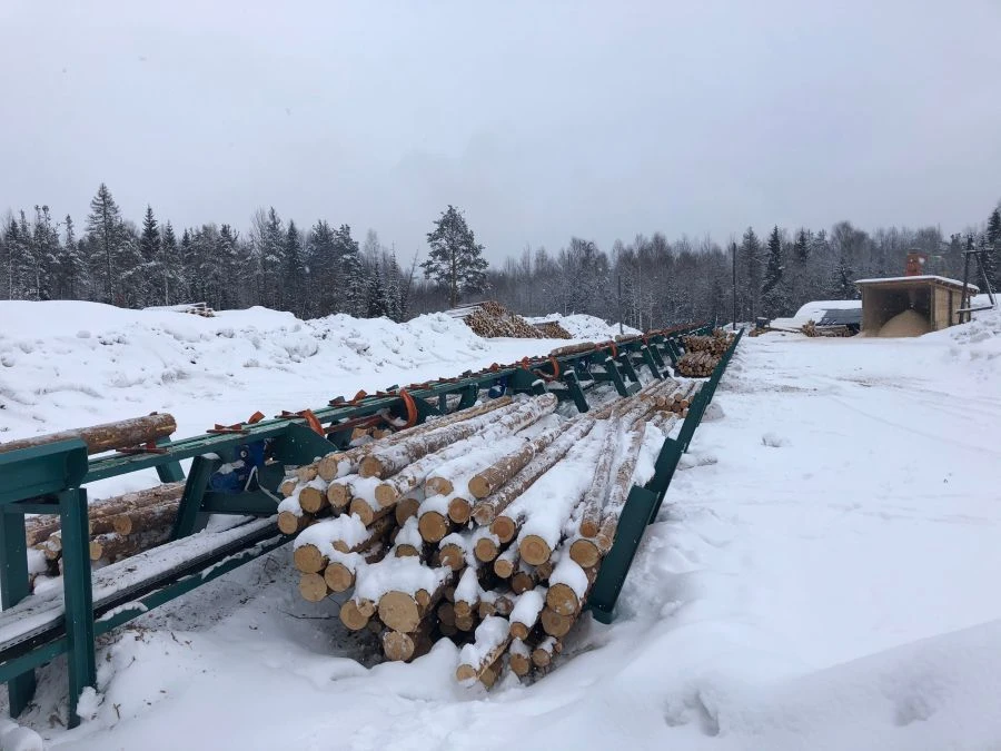 Longitudinal Log Reception and Measurement Conveyor AXEL 10-13