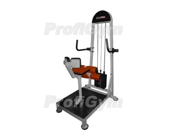 Torso Machine for Core Muscle Training TG-0370-C