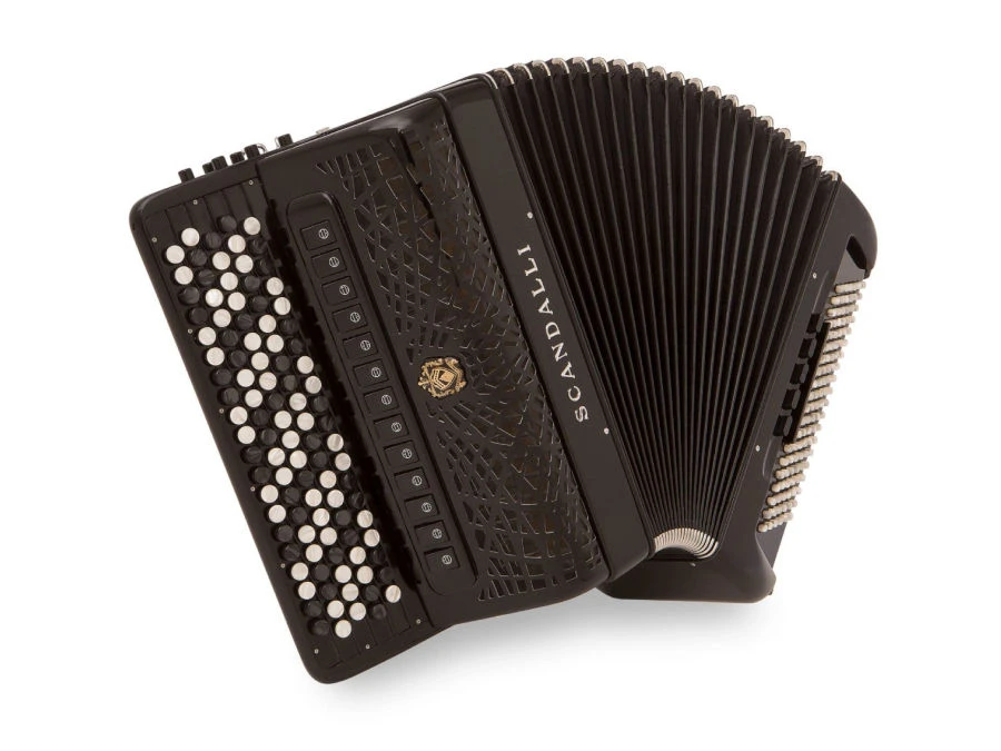 Bayan Musical Instrument BJC 442 T