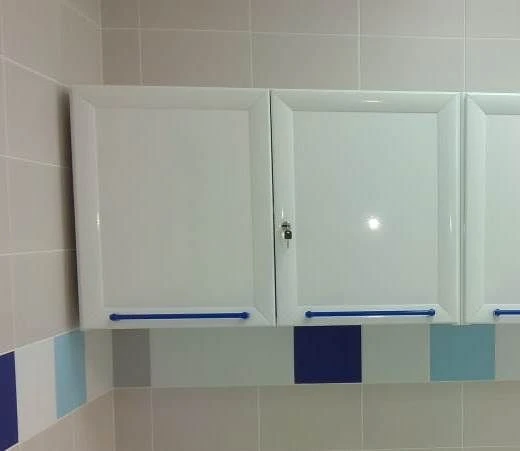 Delta Series Wall-Mounted Storage Cabinet