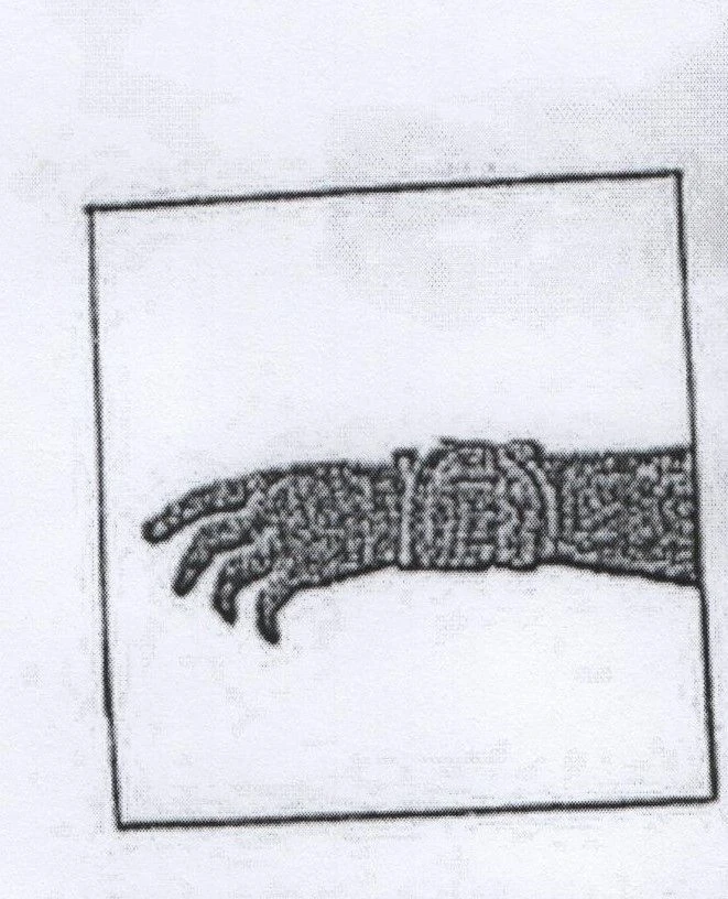 دعامة المفصل المعصمي BN6-58