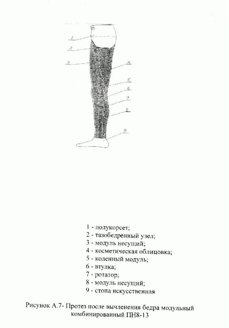 طرف صناعي قابل للتعديل لقطع الورك PN8-13