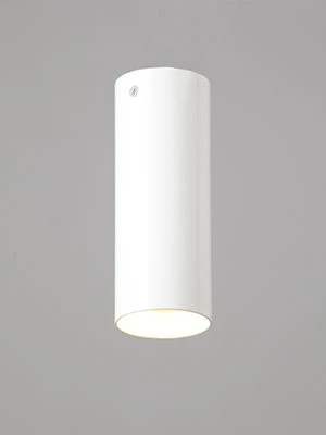 General Purpose Fixed Light V4641-0/1PL for Indoor Use