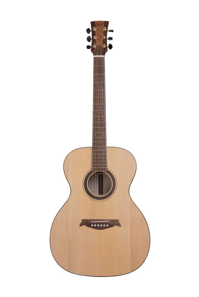 Acoustic Guitar - String Plucked Musical Instrument