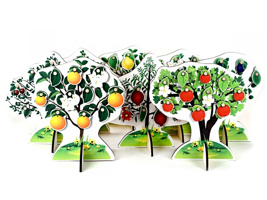 Fruit Trees Educational Tool (Model: Дидактическое пособие ФРУКТОВЫЕ ДЕРЕВЬЯ)