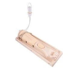 نموذج الساعد للحقن الوريدي زك-01