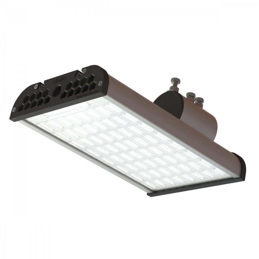 Ray Series 50W LED Outdoor Light