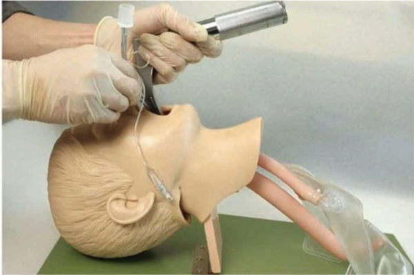 Pediatric Intubation Training Model 1A