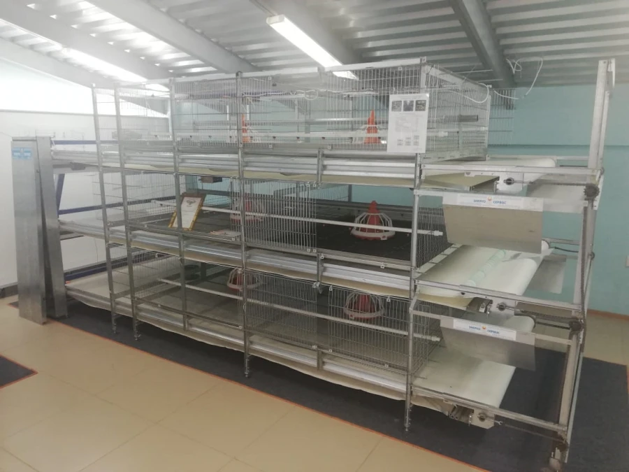 Broiler Chicken Growing System, Model "CARRE-1600