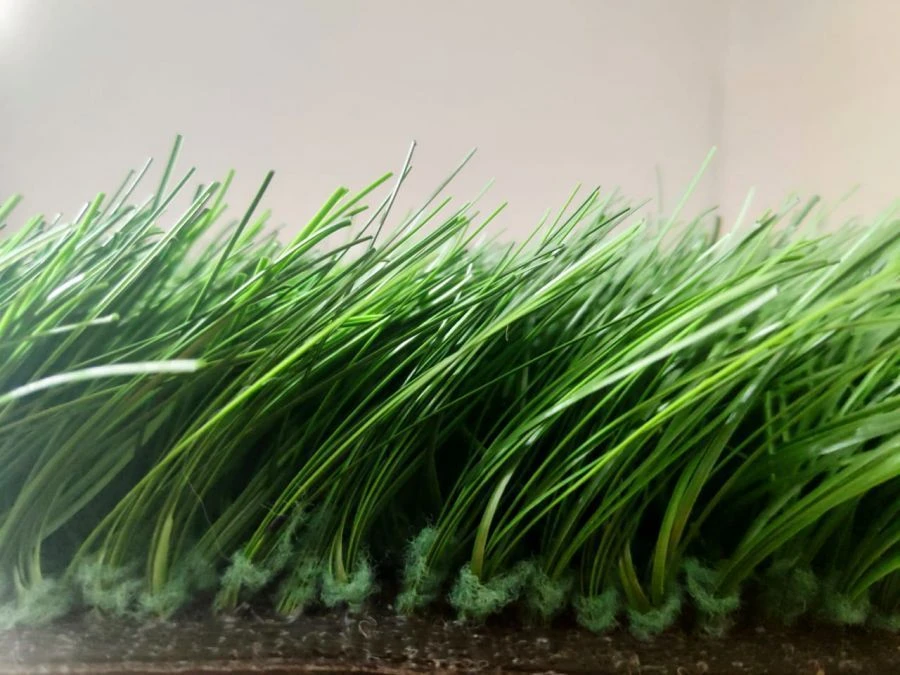 Artificial Grass Covering Optigrass XWR Classic 60 MF