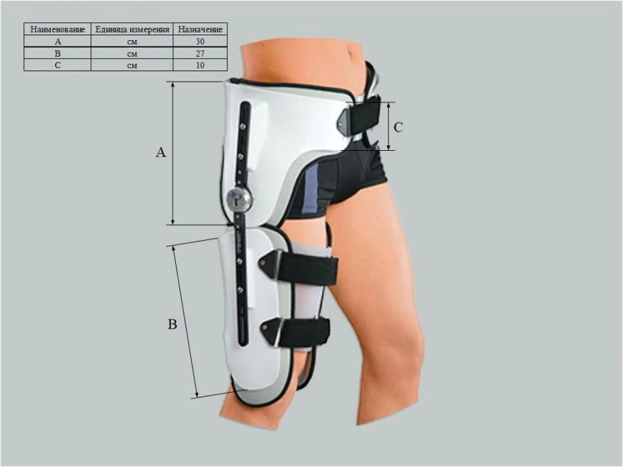 Custom-Made Knee and Hip Joint Apparatus