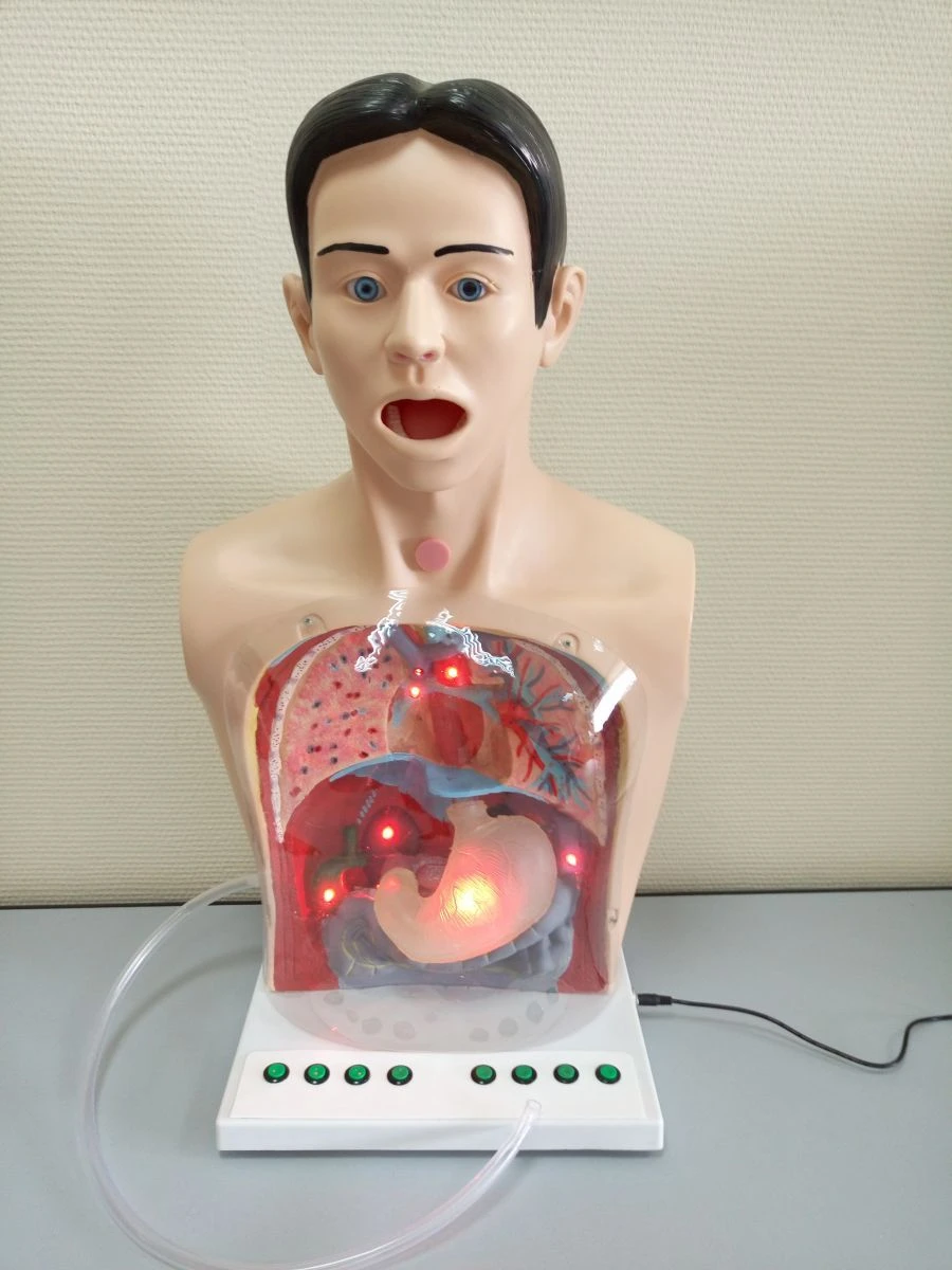 جهاز محاكاة غسل المعدة للتدريب، طراز ROST-A2