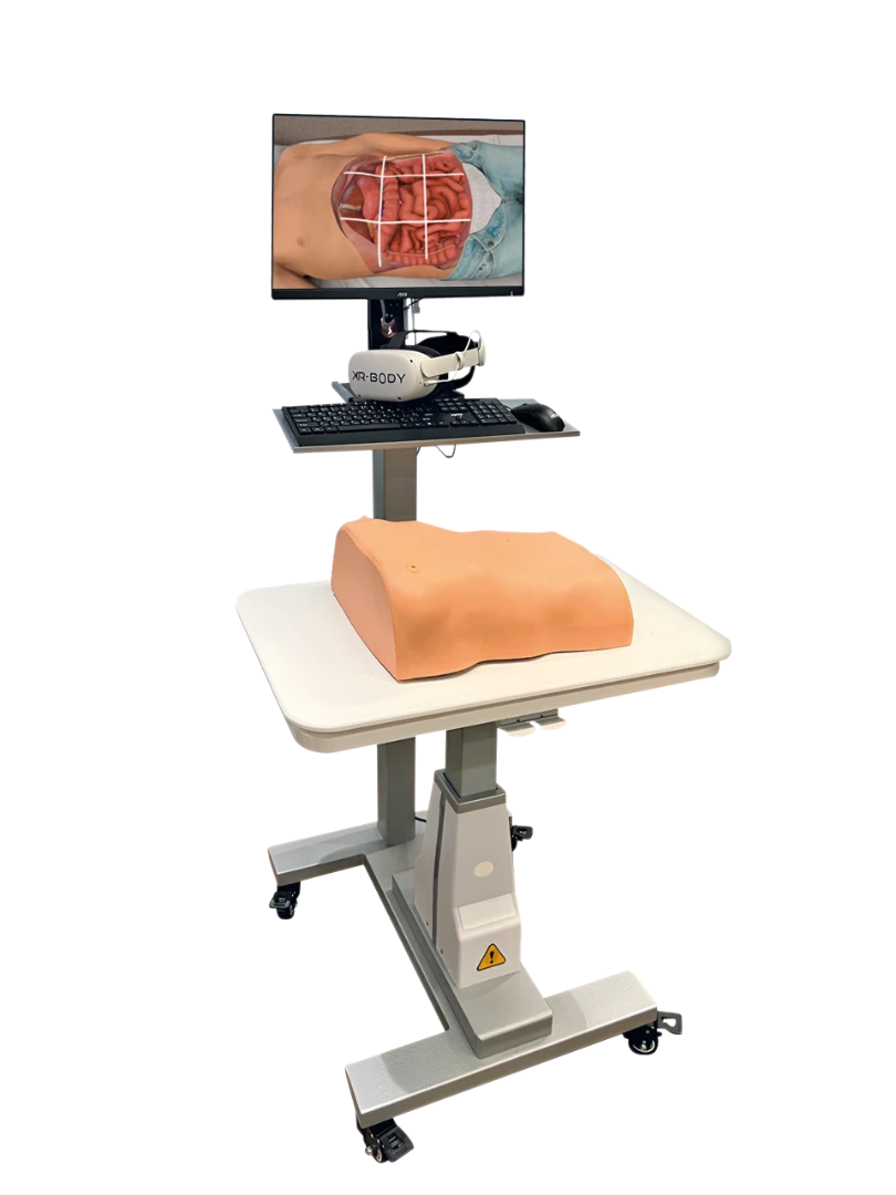 XR-BODY - Abdominal Palpation Simulator with XR Technology