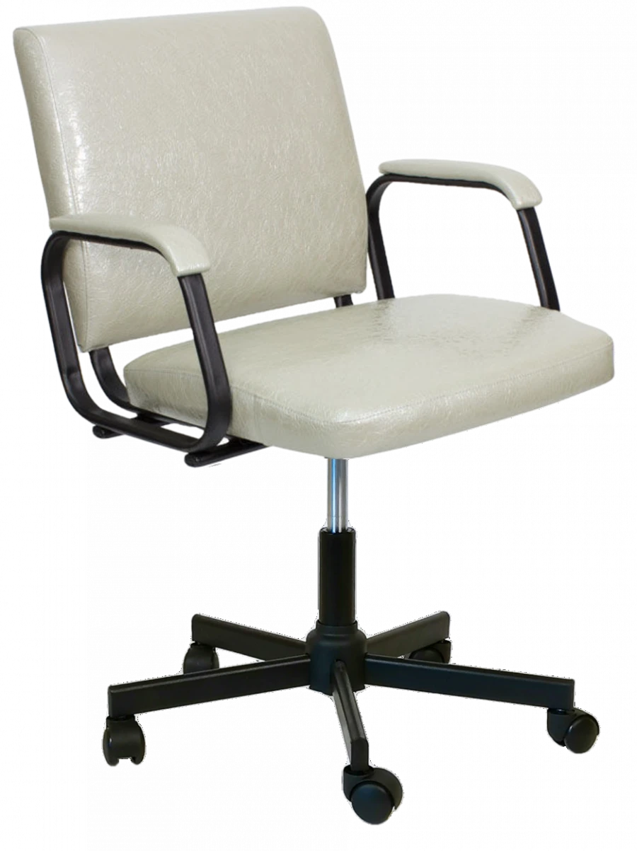 Ergonomic Office Chair KR 01.00.67